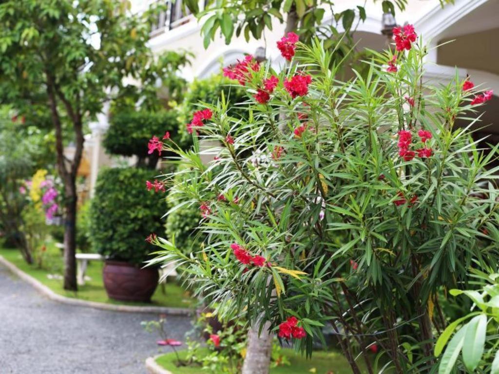 Alice Villa Hotel Takeo Esterno foto